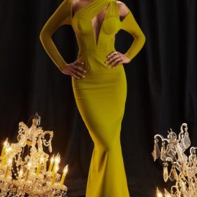 Zahra Chartreuse Plunge Maxi Dress